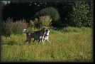 32 Nettetal * 3872 x 2592 * (2.35MB)